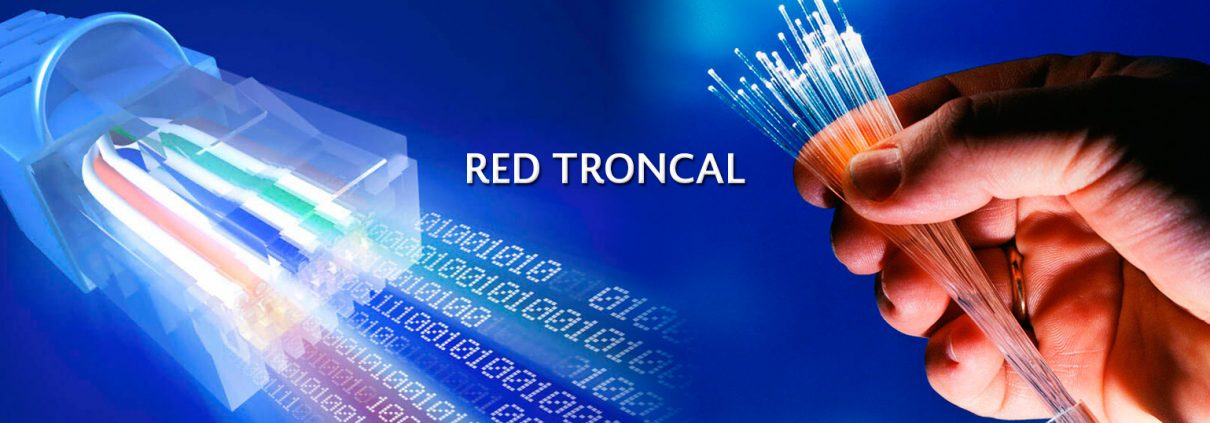 Red troncal