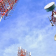 N_Telecomunicaciones